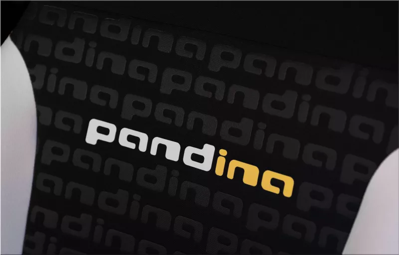 Fiat Pandina