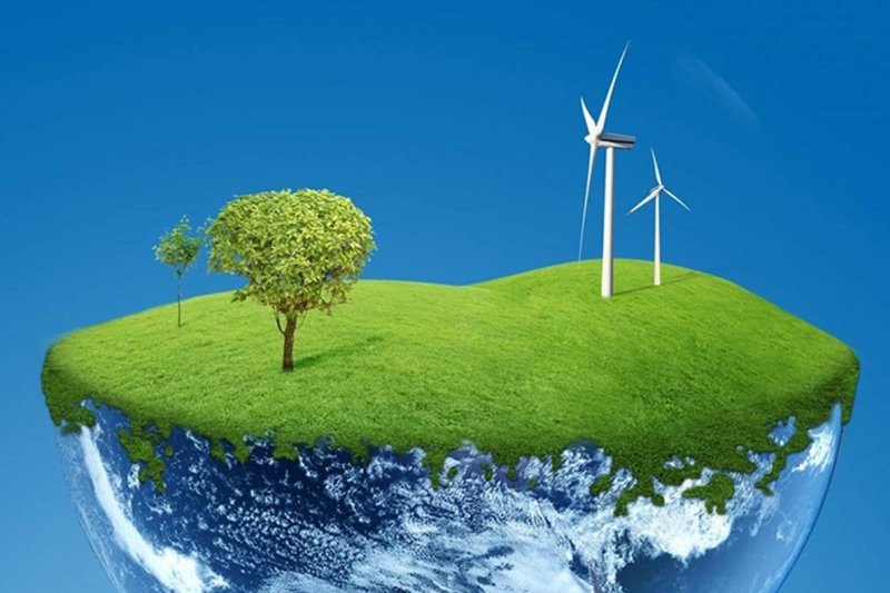3 Simple Ways to Go Green