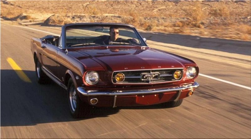 Auto Insurance