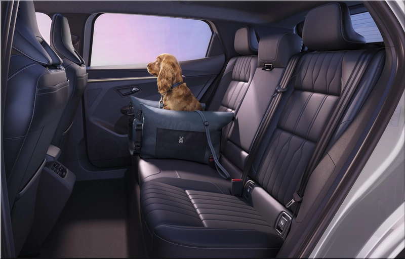Renault Scenic Electric