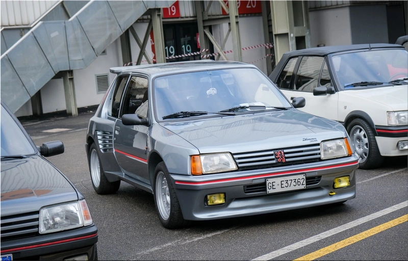 Peugeot 205 Dimma