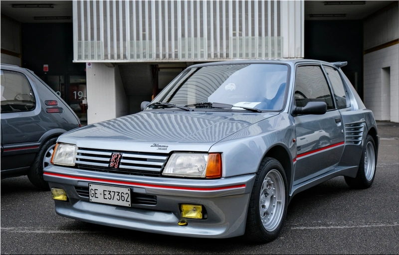 Peugeot 205 Dimma
