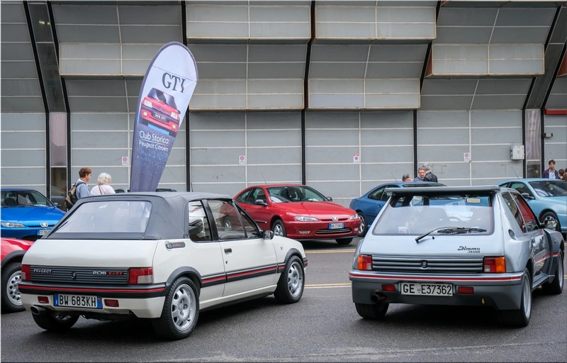 Peugeot 205 Dimma