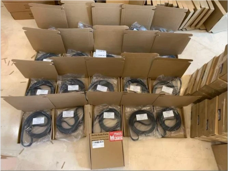 Serpentine Belts