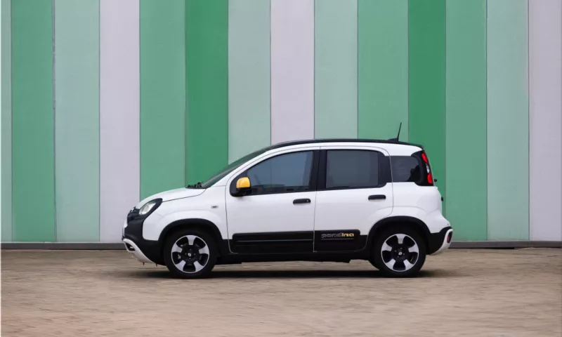 Fiat Pandina