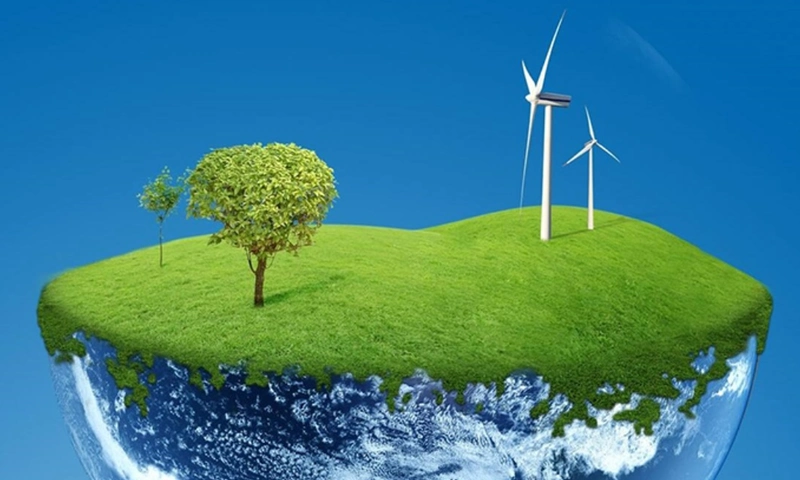 3 Simple Ways to Go Green