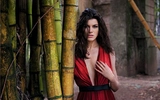 2013 Pirelli Calendar